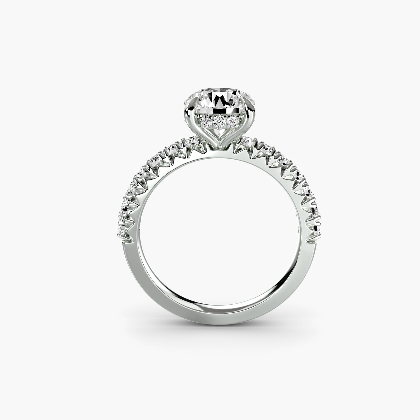 Solitaire with Pavé 6 in White Gold