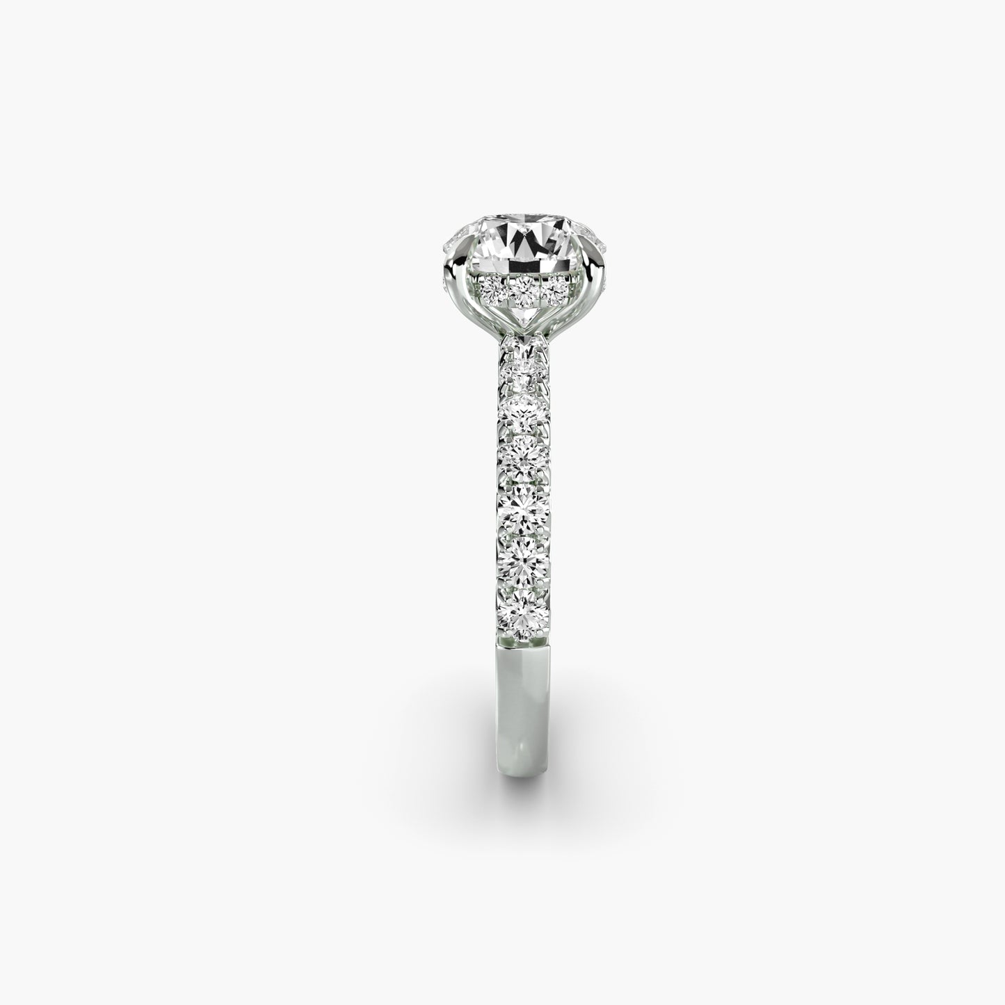 Solitaire with Pavé 6 in White Gold